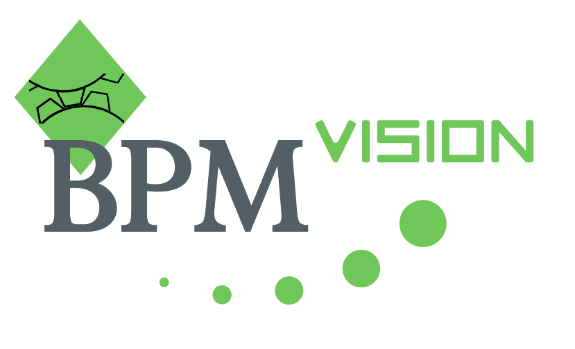 BPM Vision
