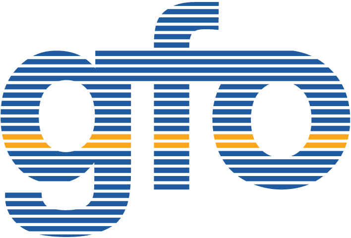 GFO – Gesellschaft für Organisation e.V.