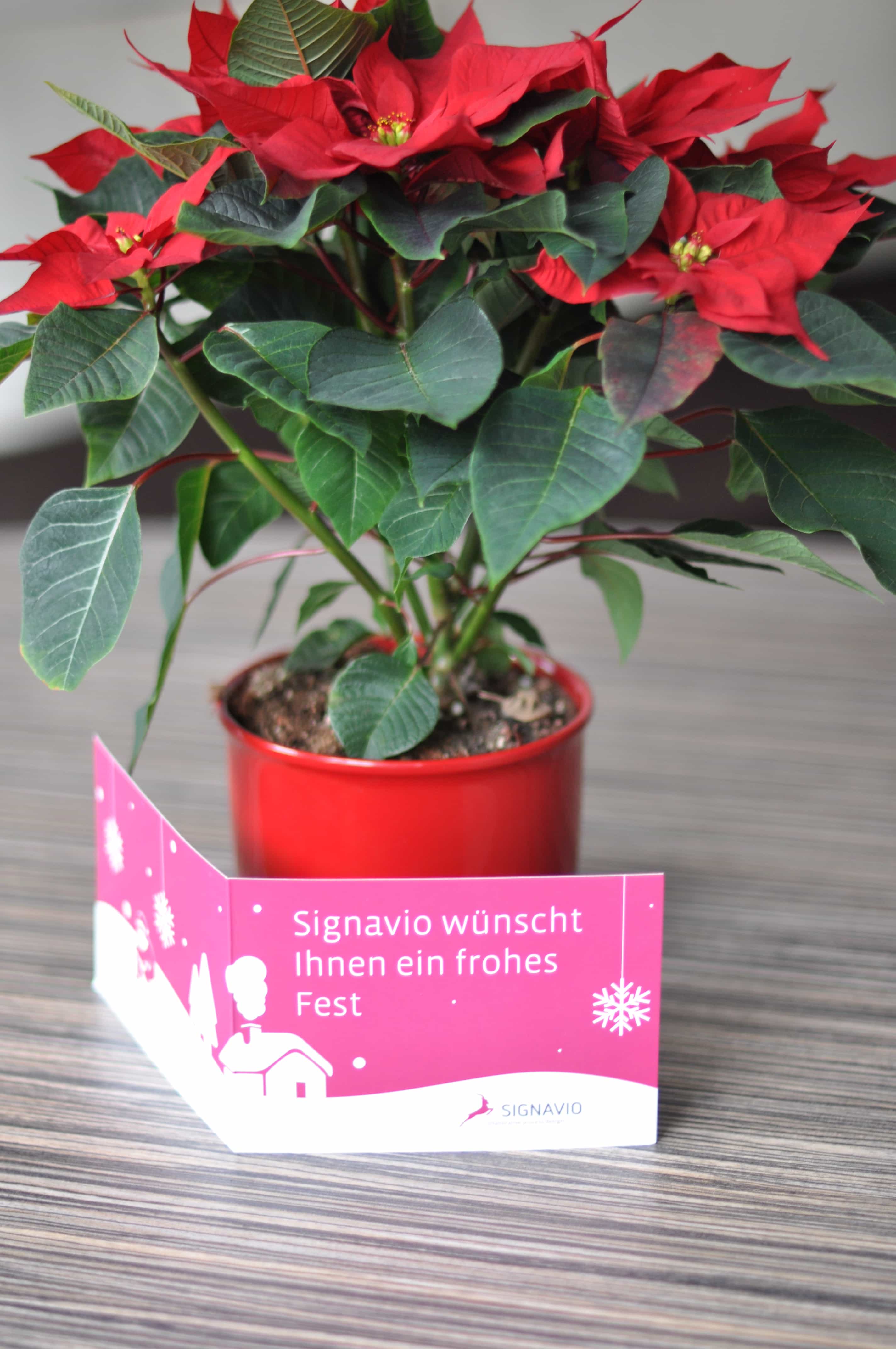 Signavio wünscht Frohe Weihnachten