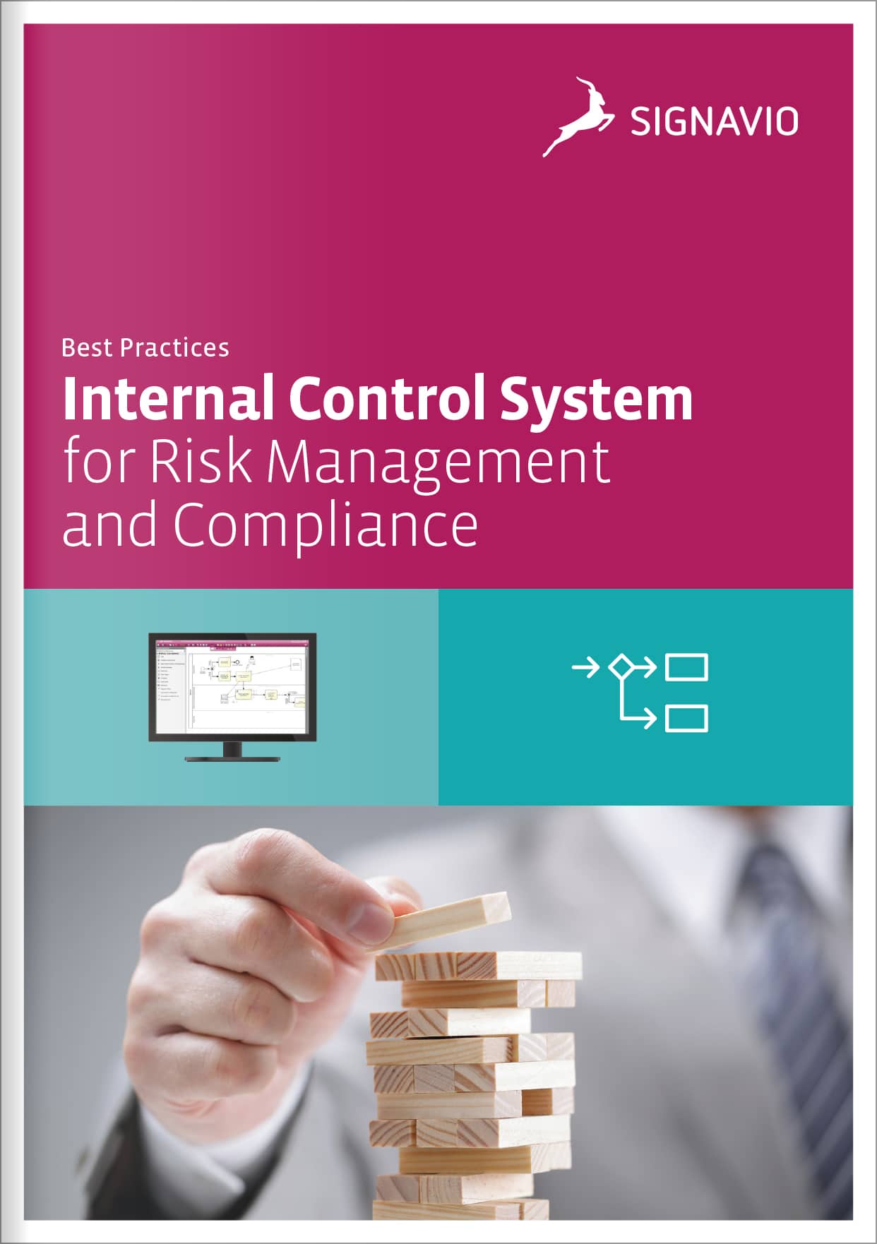 internal-control-system-cover