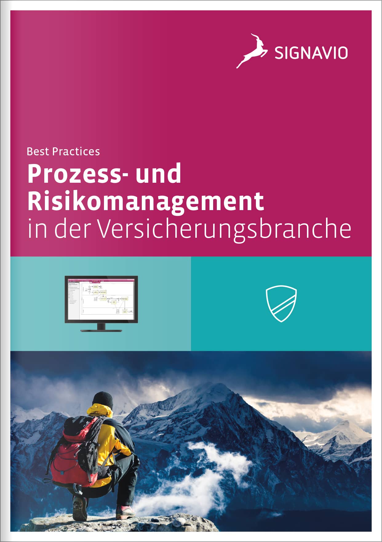 Prozess - der Versicherungsbranche Risikomanagement