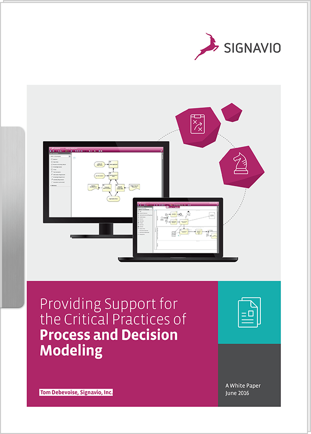 Whitepaper - Providing Support for the Critical Practices of Process and Decision Modeling