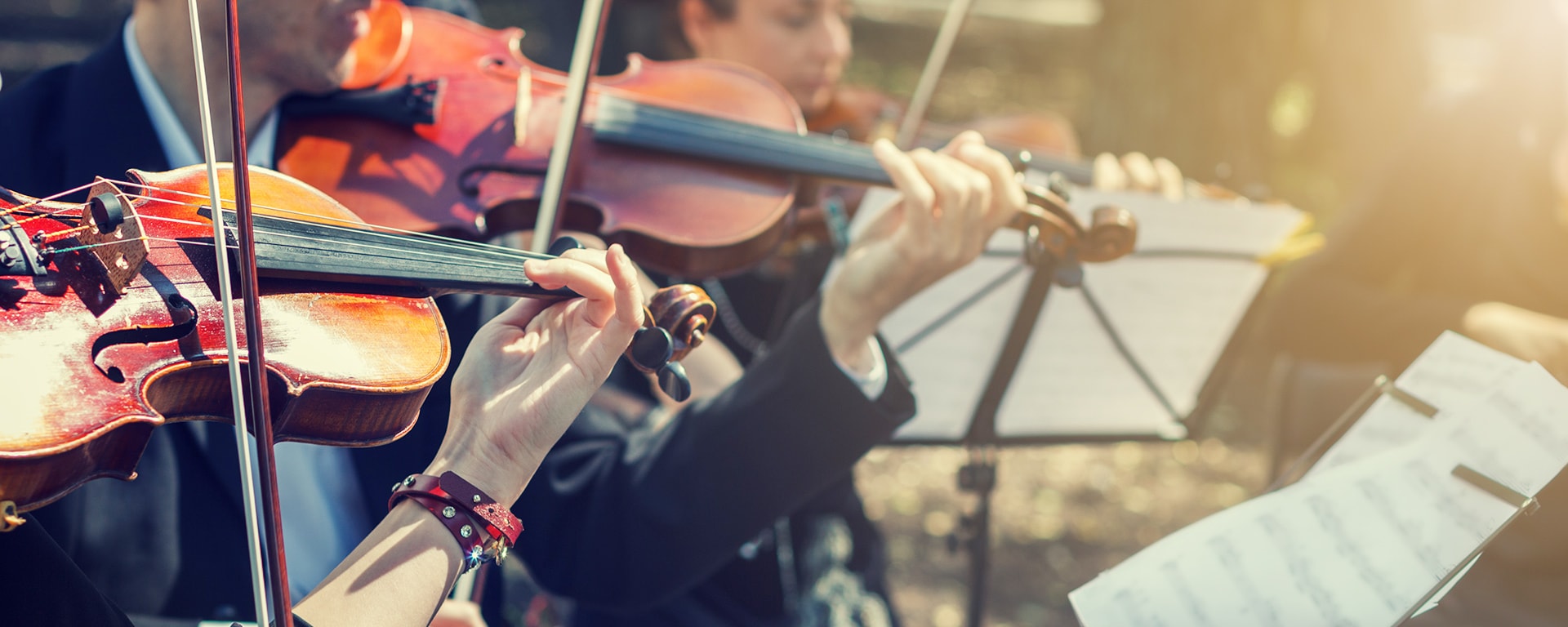 Watch live music. Live Music. Banners musician.