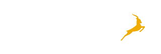 Introduction to SAP Signavio Process Manager