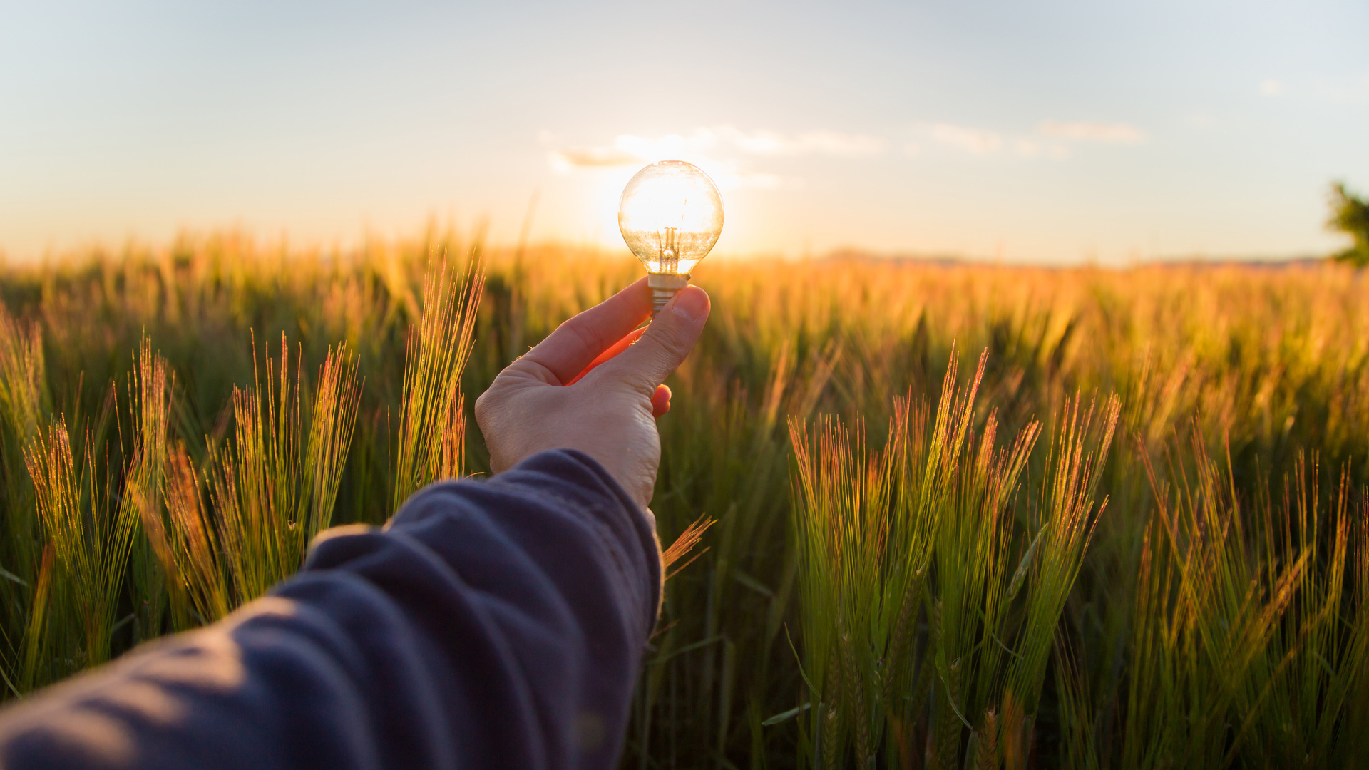 A Process Mindset Can Change the World