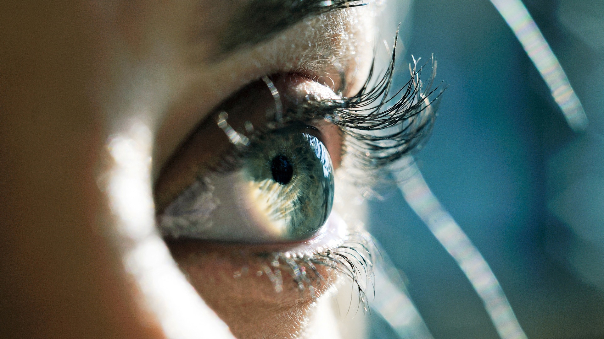 people, processes and change management