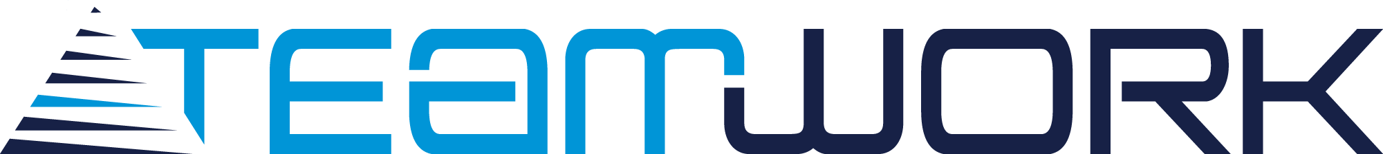 TeamWork logo