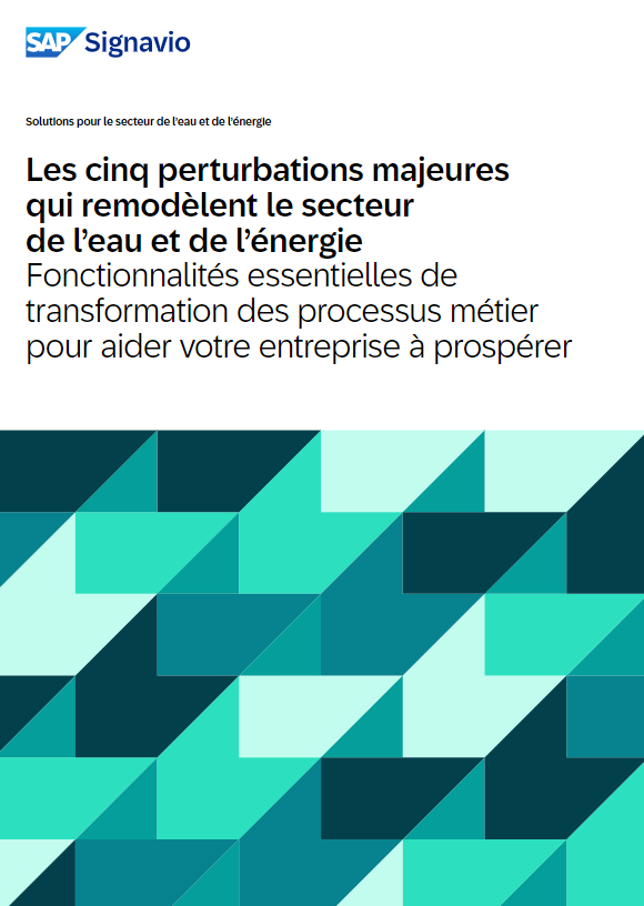 Utilities Thought Leadership Paper_preview_fr.png
