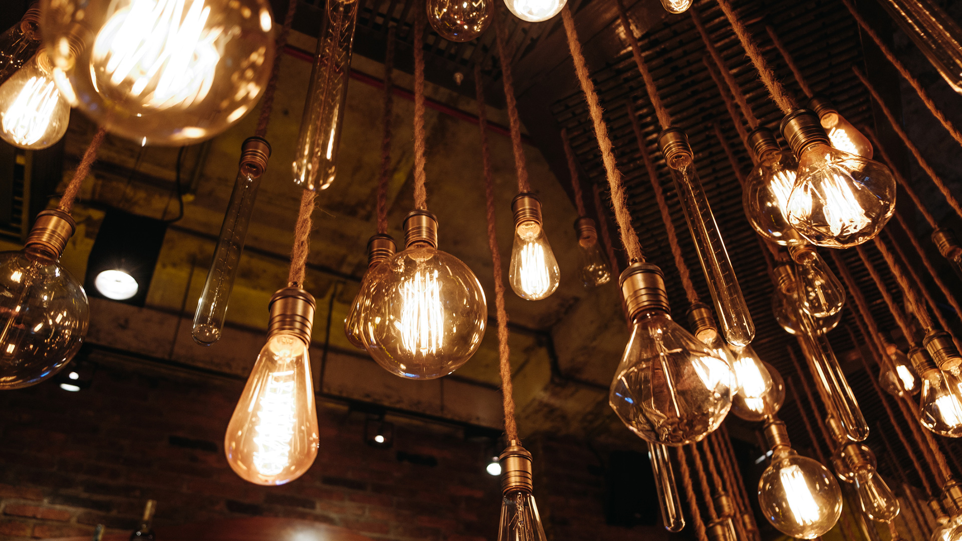 SAP Event in Egypt Spotlights Green Tech Transformation