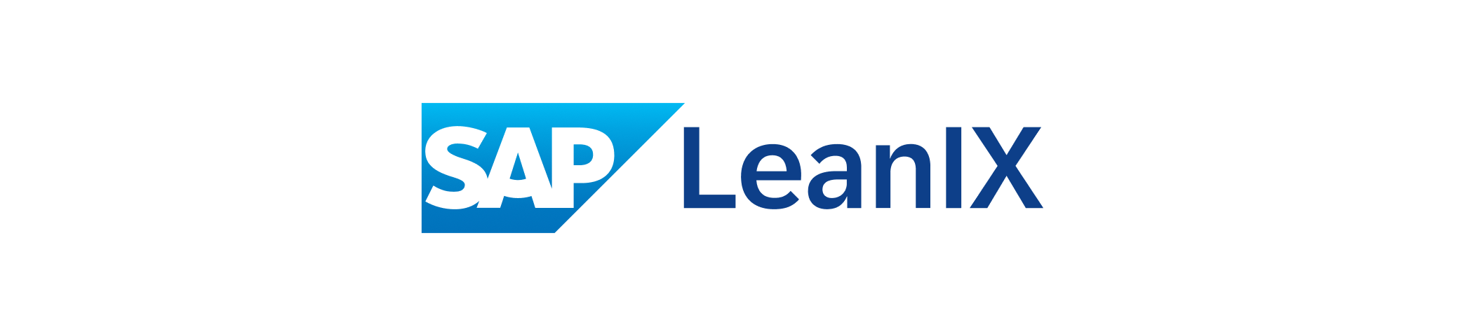 LeanIX-Logo-with-frame