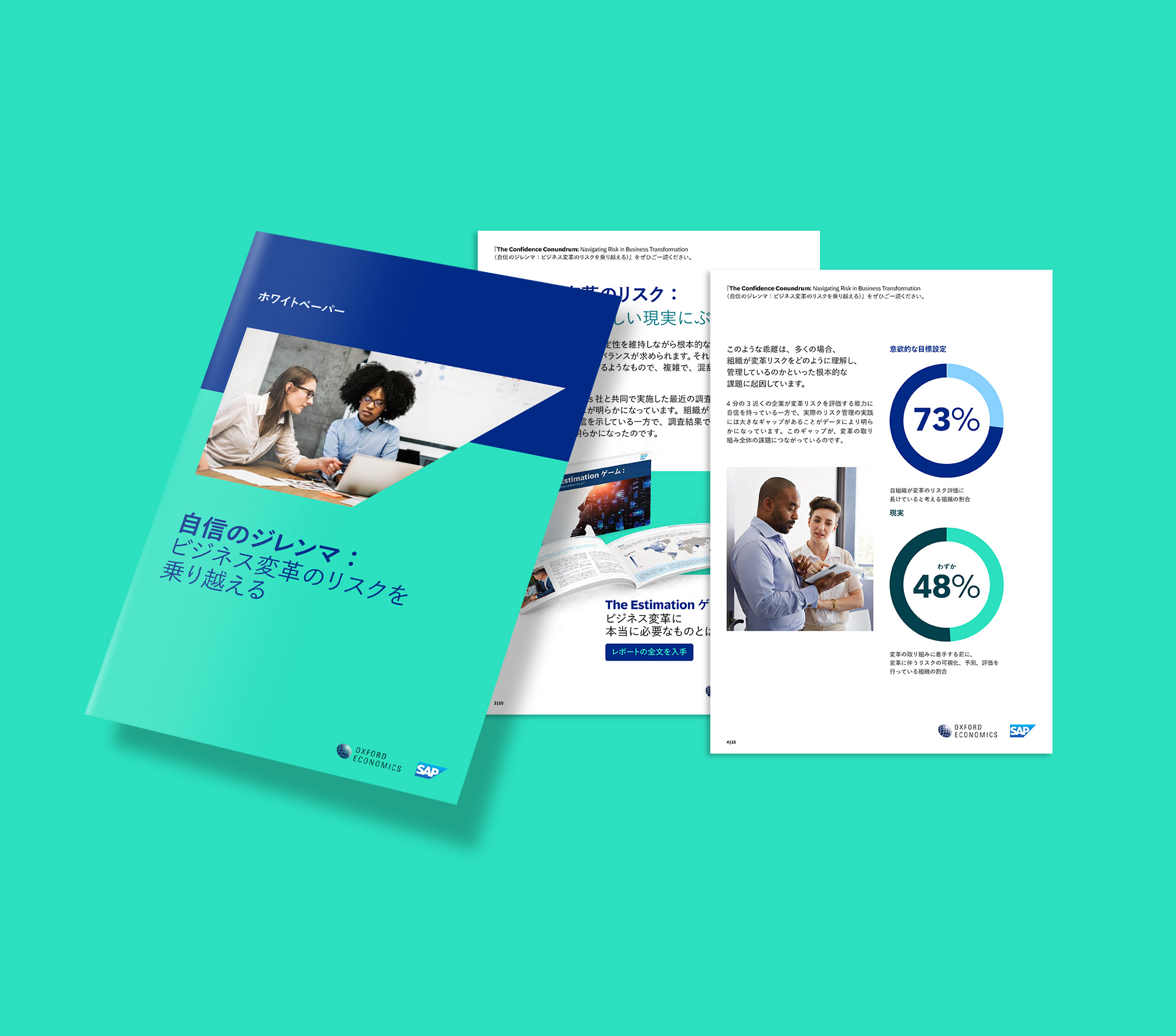 ビジネス変革管理におけるリスク回避の方法 